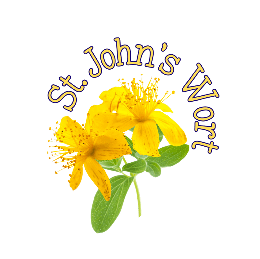 St johns wort st johns wort